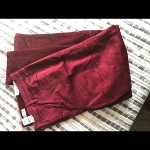 LOFT Velvet Skinny Jeans